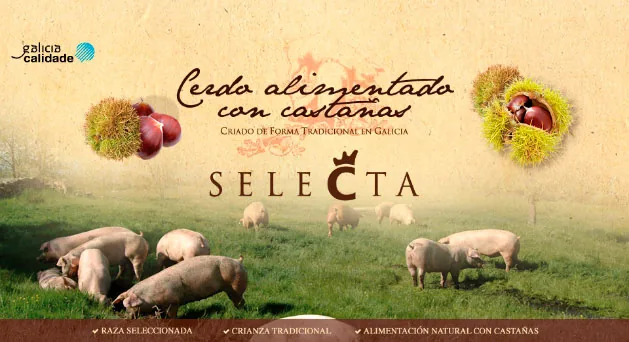 Nuestro Cerdo Castañer